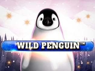 Wild Penguin screenshot